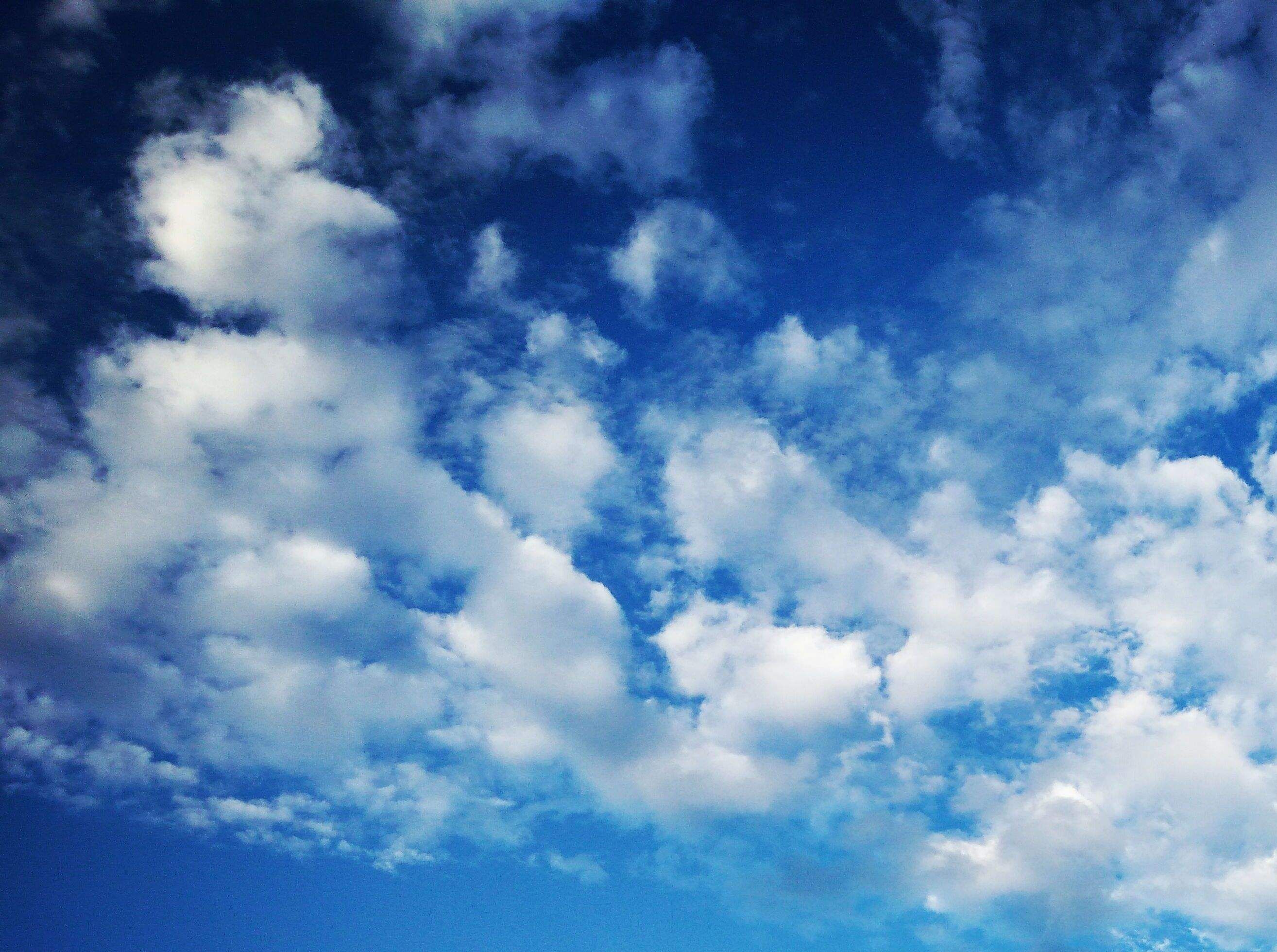 利好不断，笋盘锐减，赶紧上车 - 乐有家