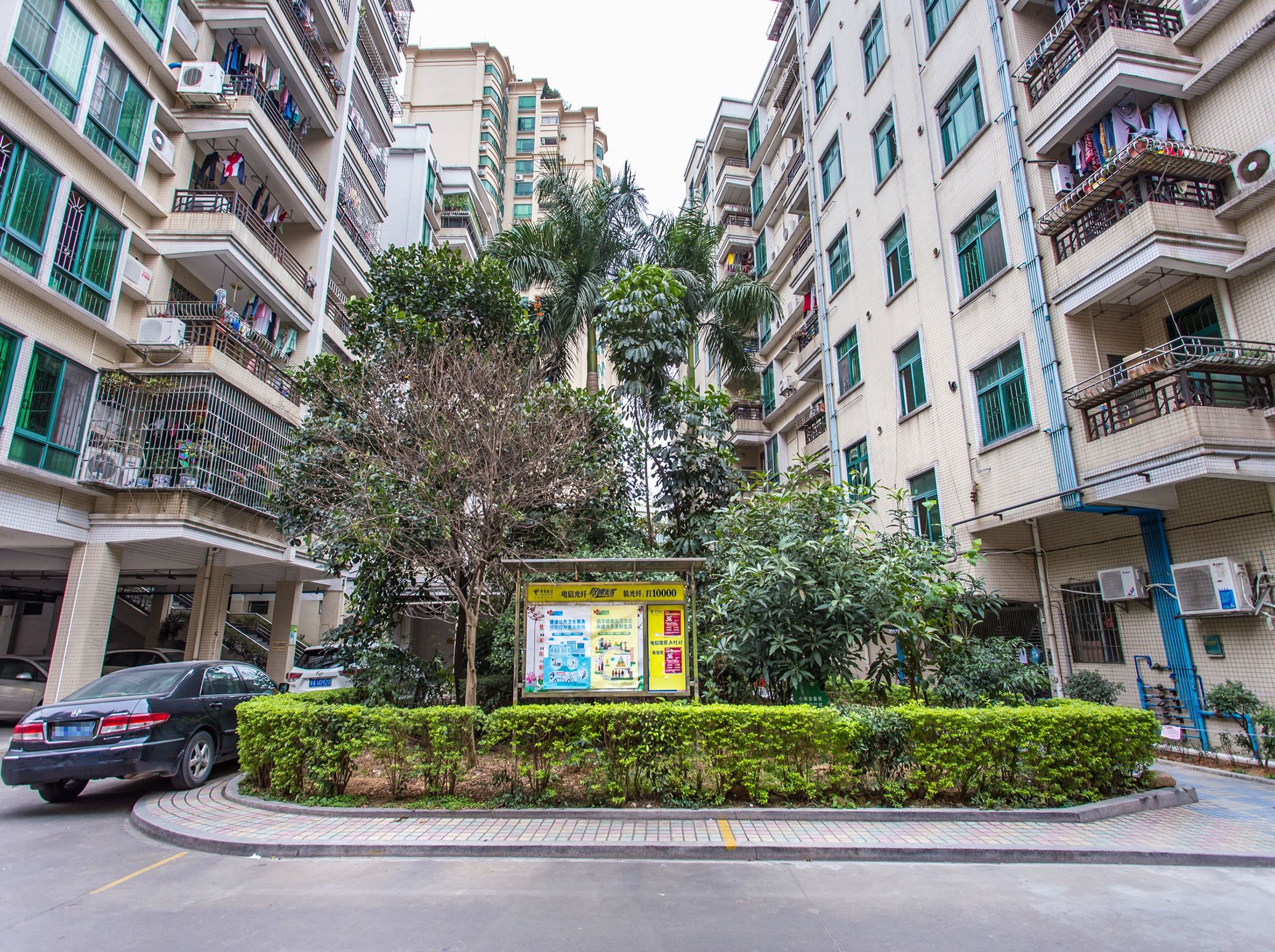 荣仔测试 - 乐有家