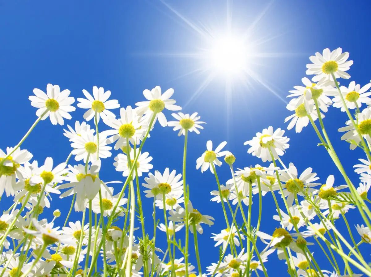 刘飞01.20测试 - 乐有家